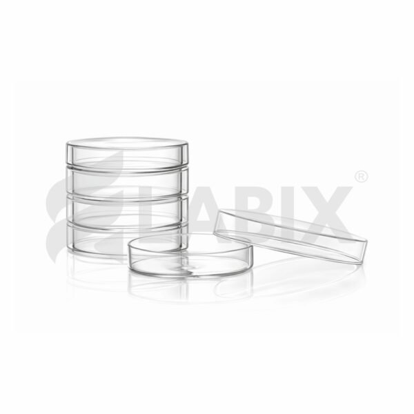 Dishes Culture Borosilicate Glass